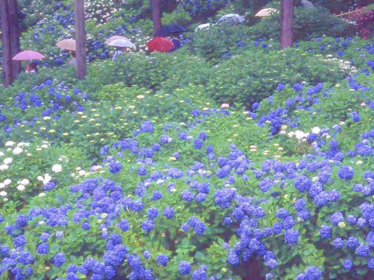ホテル 花やしき浮舟園 宇治市 エクステリア 写真